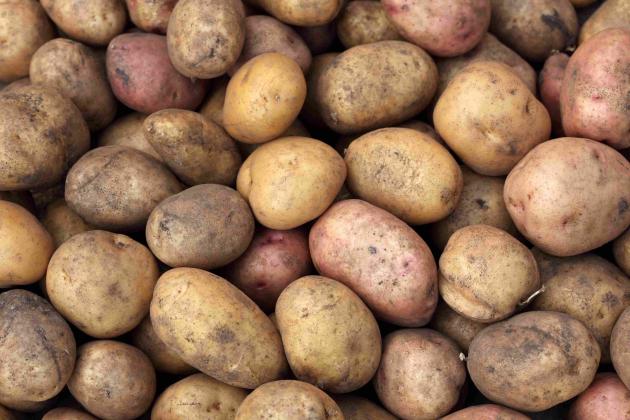 Potatoes