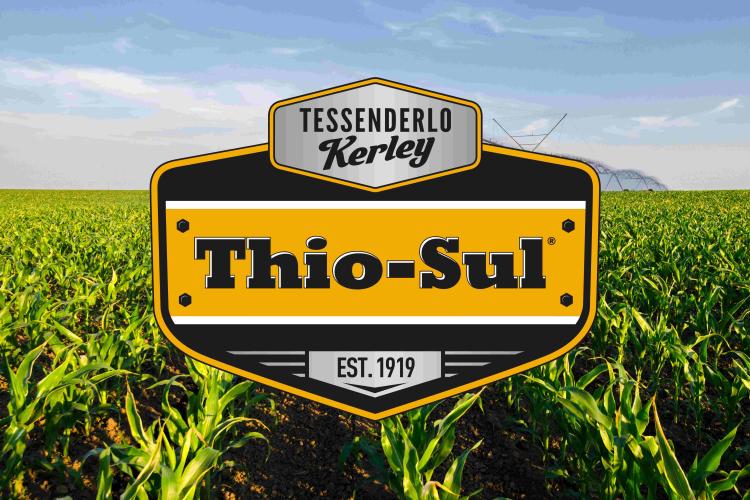 Thio-Sul Product Page